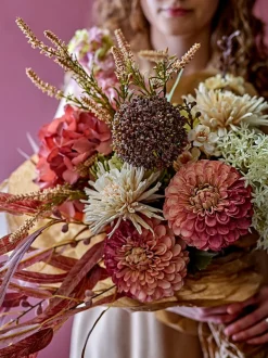Allium stilkblomst
