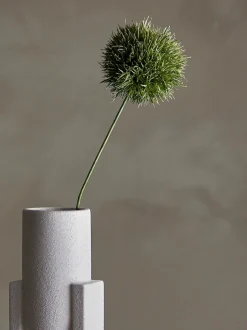 Allium stilkblomst