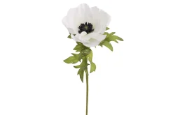 Anemone stilkblomst