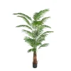 Arecapalme potteplante
