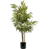 Bambus potteplante