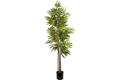 Bambus potteplante