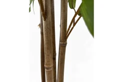 Bambus potteplante