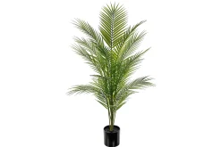 Bergspalme potteplante