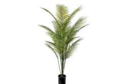 Bergspalme potteplante