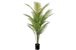 Bergspalme potteplante