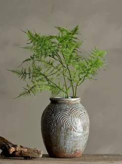 Bregne kvist/stilkblomst