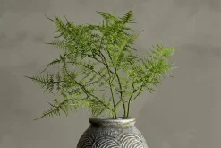 Bregne kvist/stilkblomst