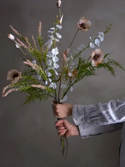 Bregne kvist/stilkblomst