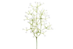Brudeslør stilkblomst