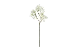 Brudeslør stilkblomst
