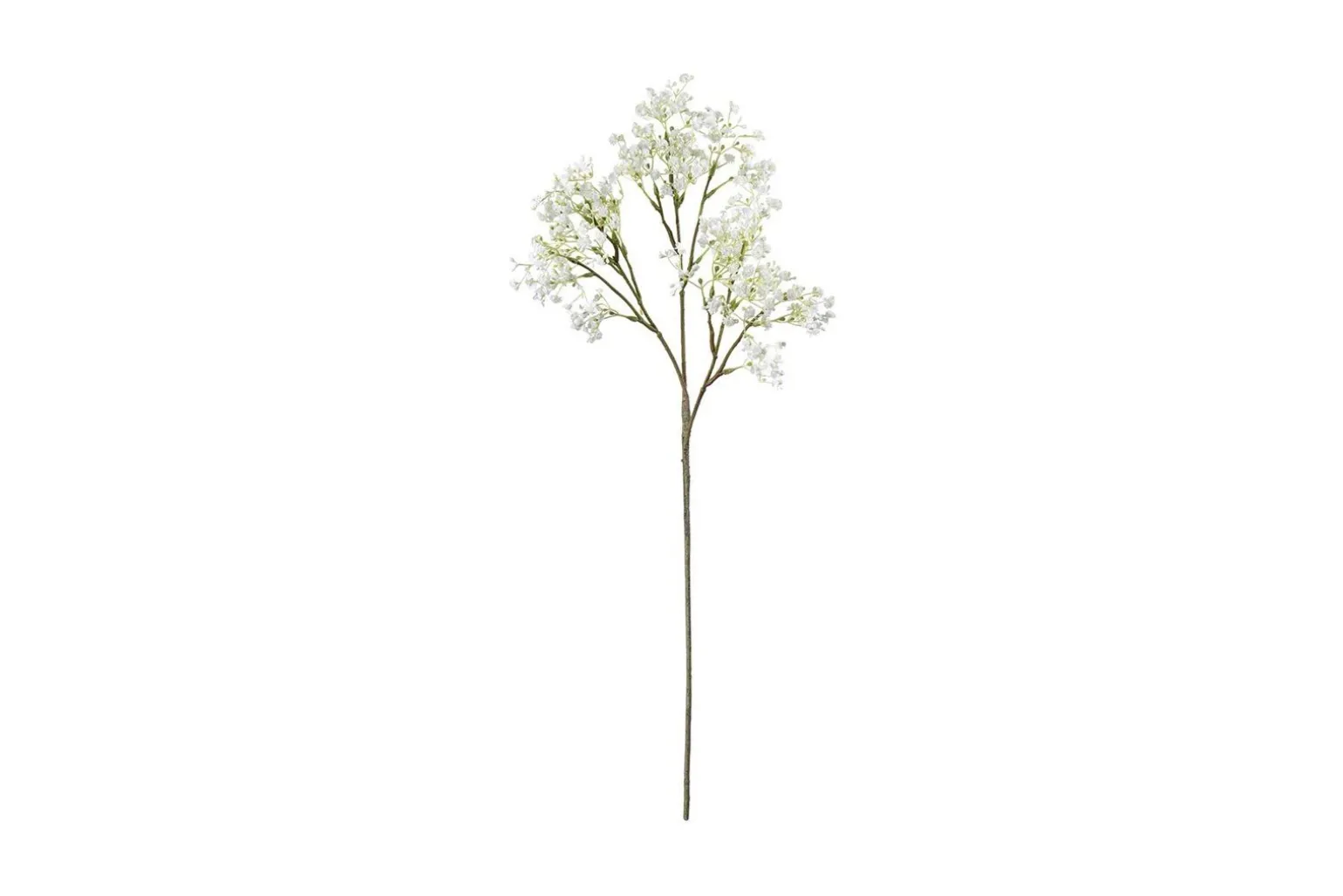Brudeslør stilkblomst