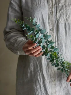 Eucalyptus kvist/stilkblomst