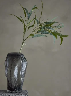 Eucalyptus kvist/stilkblomst