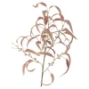 Eucalyptus kvist/stilkblomst
