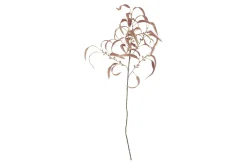 Eucalyptus kvist/stilkblomst