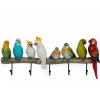 Exotic Birds klesstativ