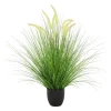 Ferder gress potteplante