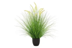 Ferder gress potteplante