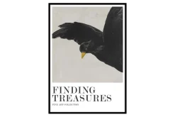 Finding Treasures