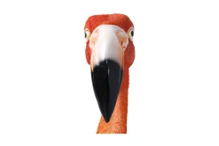 Flamingo Road veggdekorasjon