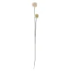 Floks stilkblomst