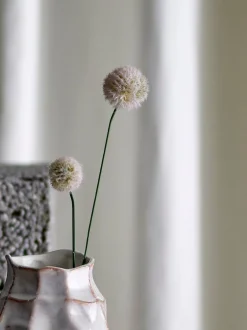Floks stilkblomst