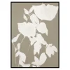 Fortuna White
