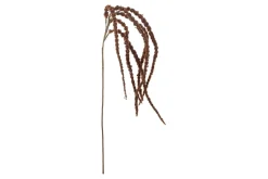 Foxtail kvist/stilkblomst