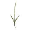 Foxtail stilkblomst