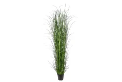Gress potteplante