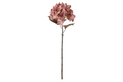Hortensia stilkblomst