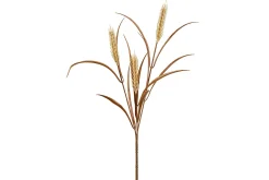 Hvete stilkblomst