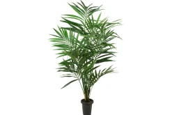 Kentiapalme potteplante