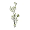 Kirsebærblomst kvist