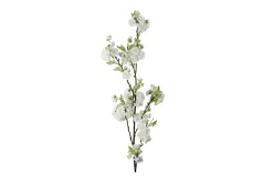 Kirsebærblomst kvist