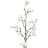 Kirsebærblomst kvist