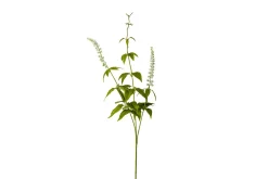 Lavendel stilkblomst