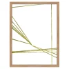 Lines Play