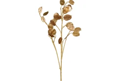 Lunaria kvist