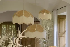 Malacia taklampe