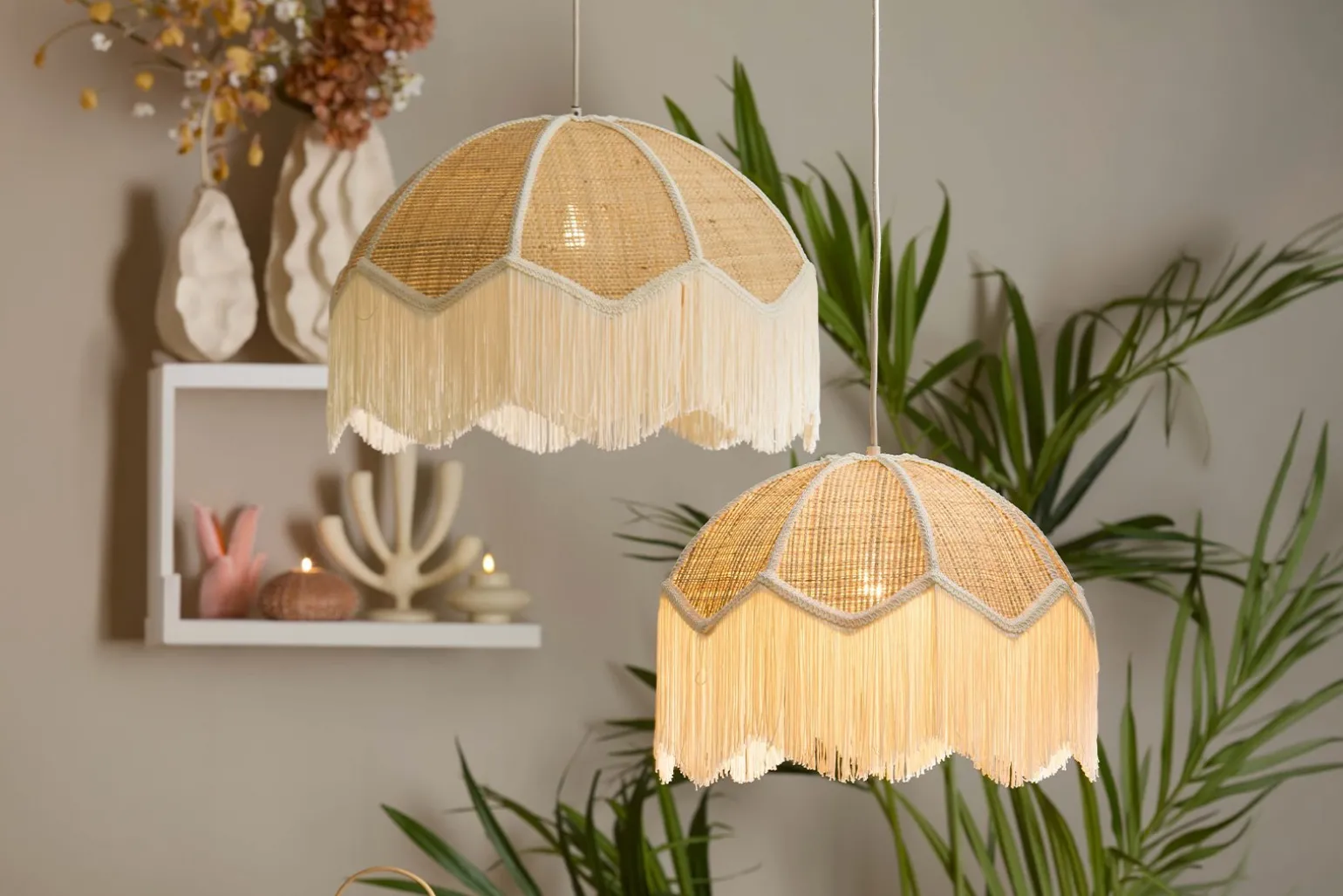 Malacia taklampe