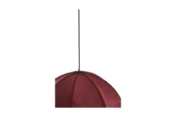 Malacia taklampe