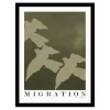 Migration