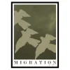 Migration