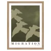 Migration