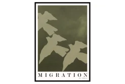 Migration