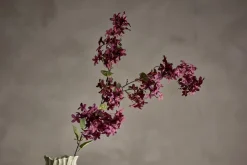 Myrt stilkblomst