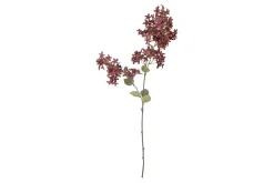 Myrt stilkblomst