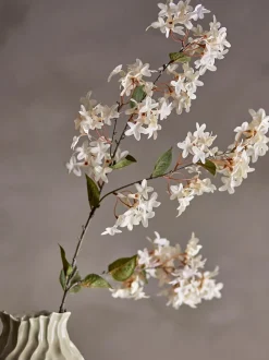 Myrt stilkblomst